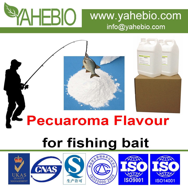 بيكواروما نكهة لصيد الأسماك