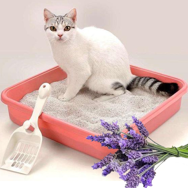 مصنع الجملة الخزامى العطر لمنتجات الحيوانات الأليفة مربع القمامة الرمل القط
